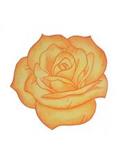 Custom Rose