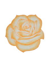 Custom Rose