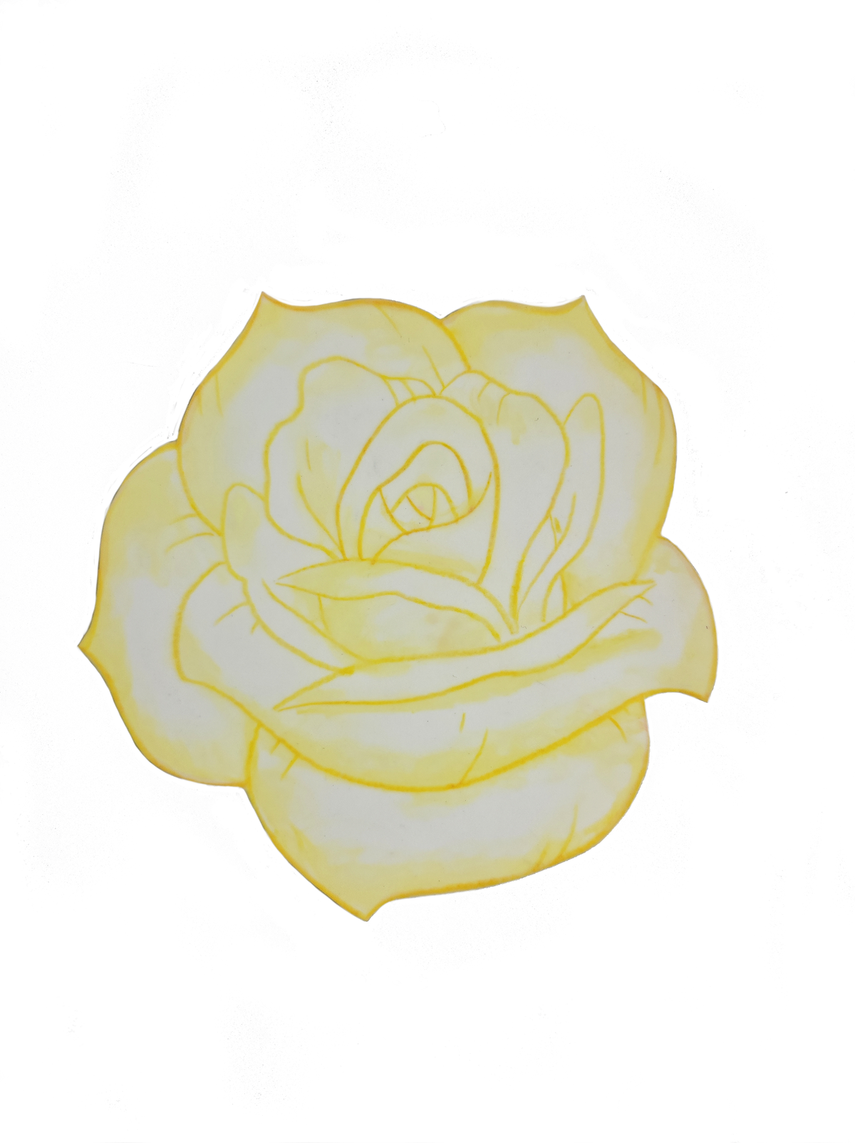 Falling rose