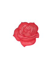 Custom Rose