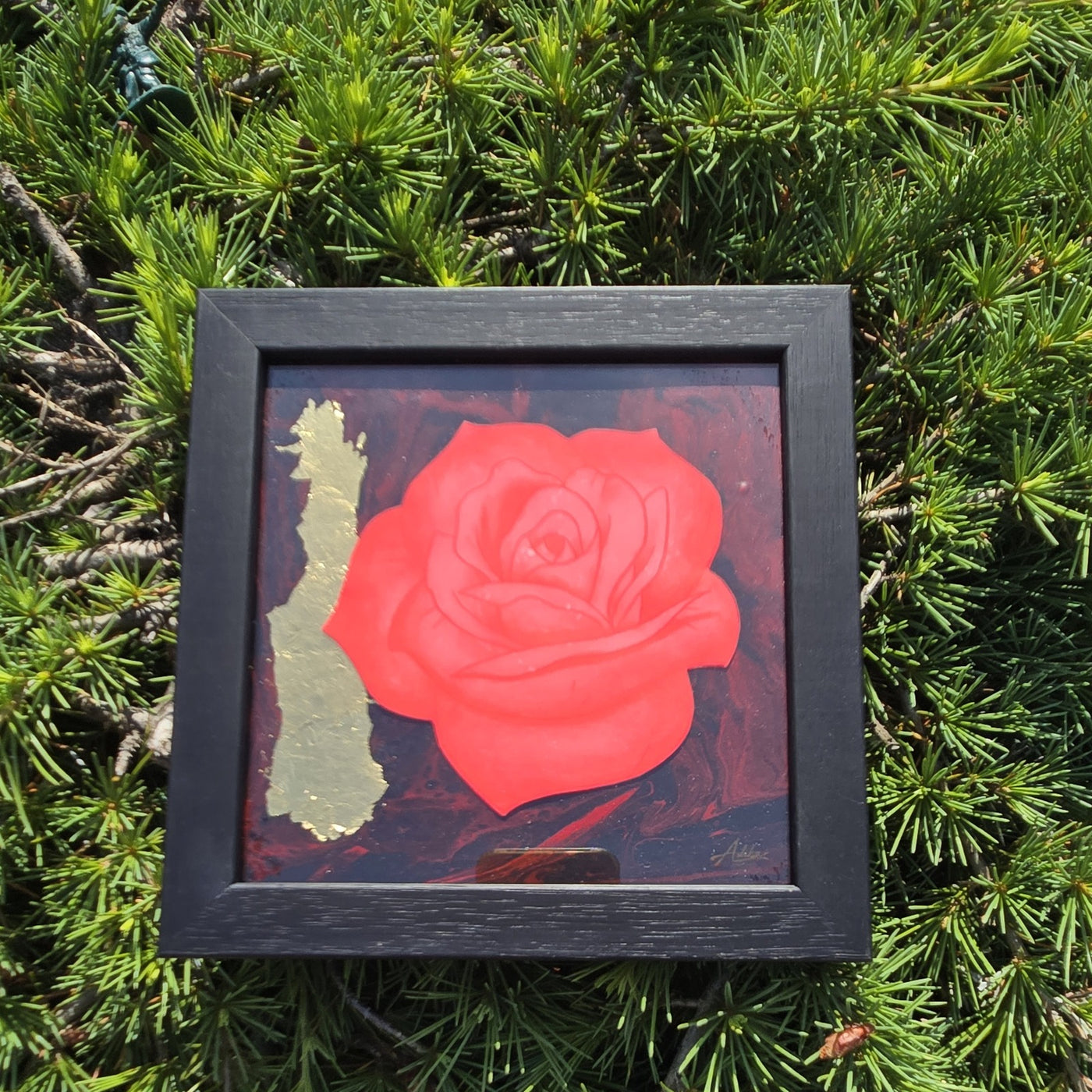 Signature Rose collection