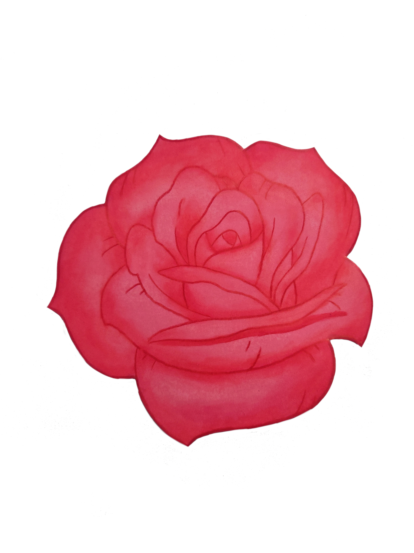 A rose that lasts
