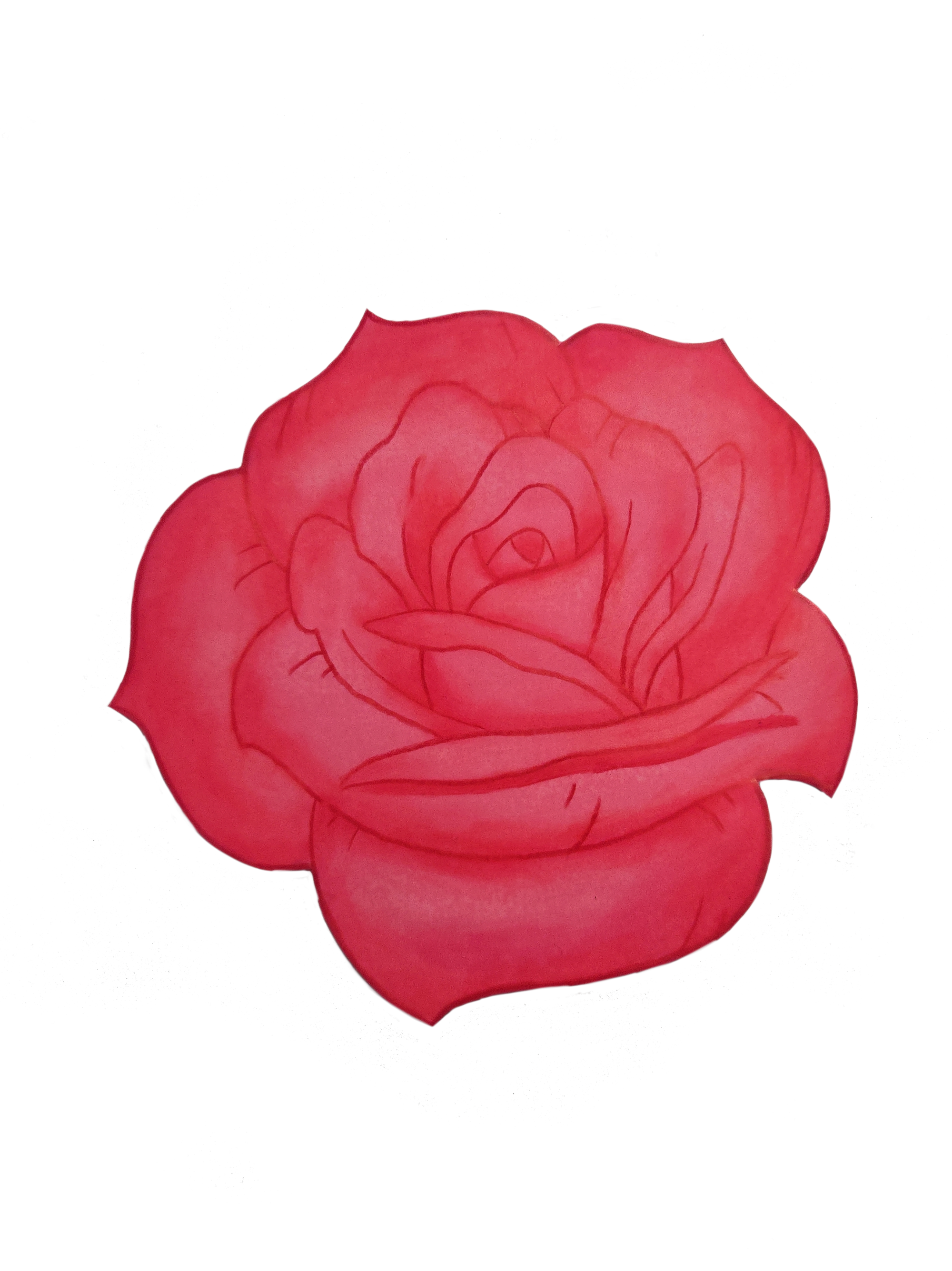 Custom Rose