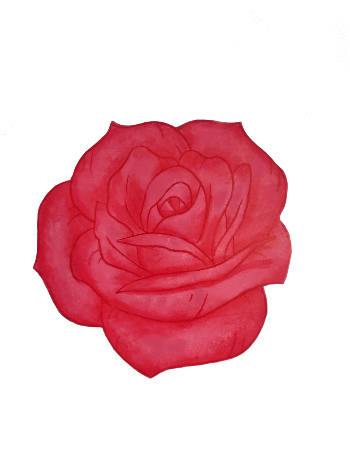 Falling rose