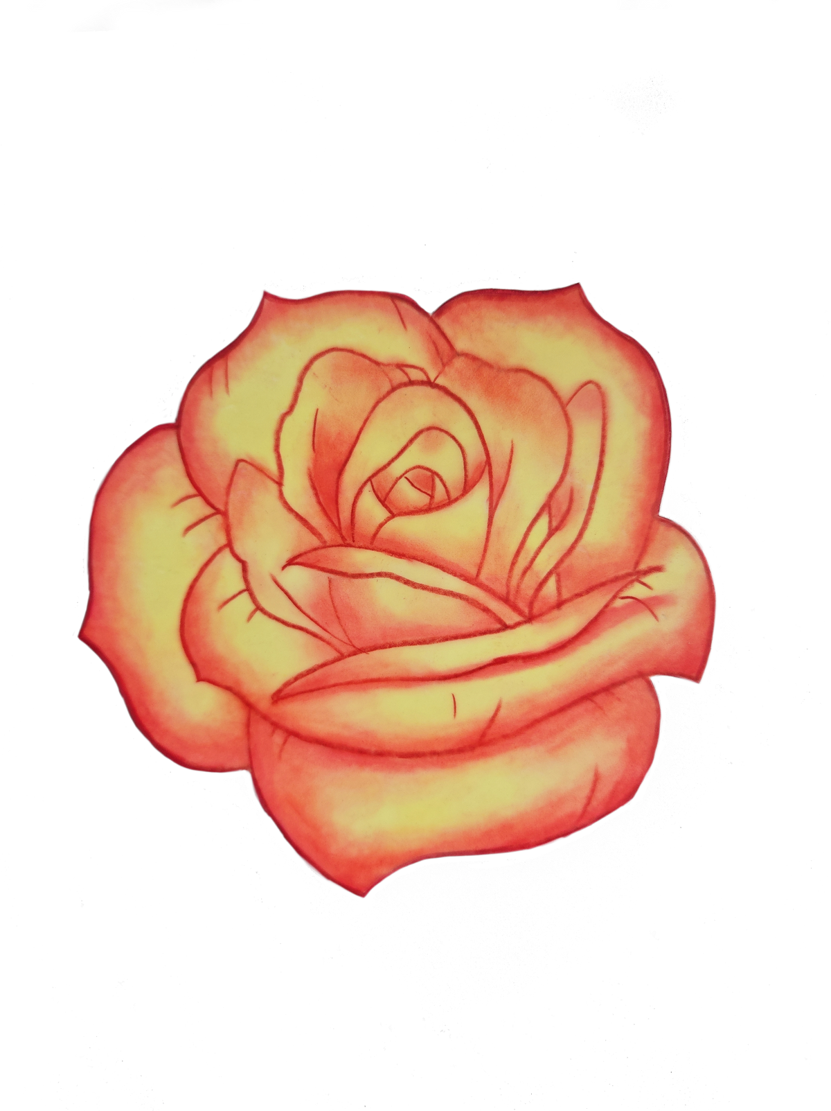 Falling rose