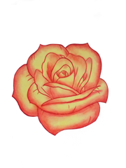 Custom Rose