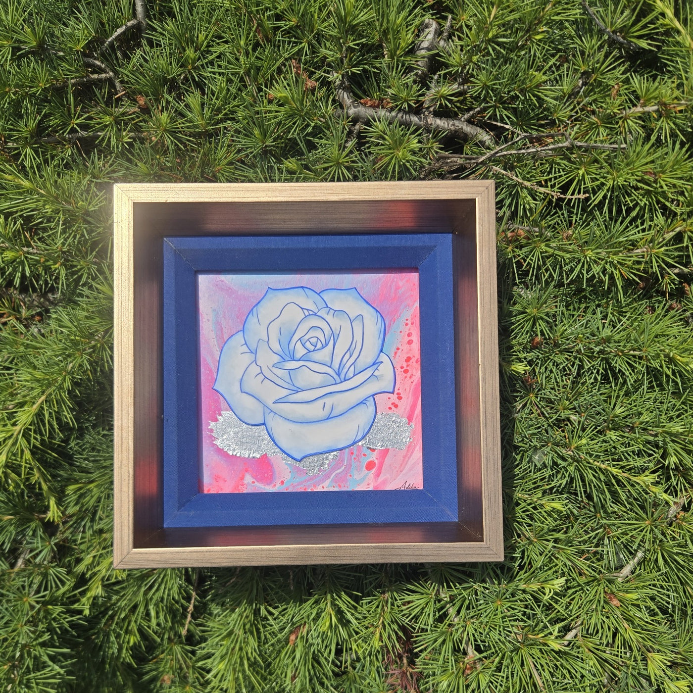 Variety Rose collection