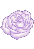Custom Rose