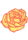 Custom Rose